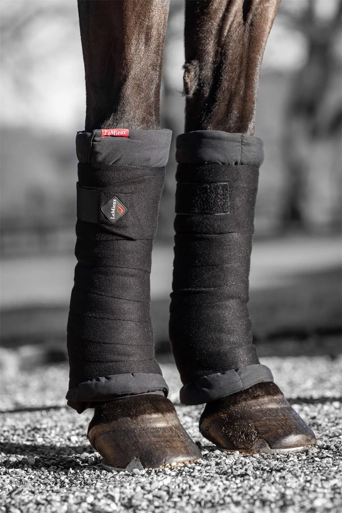 LeMieux Stable Bandages