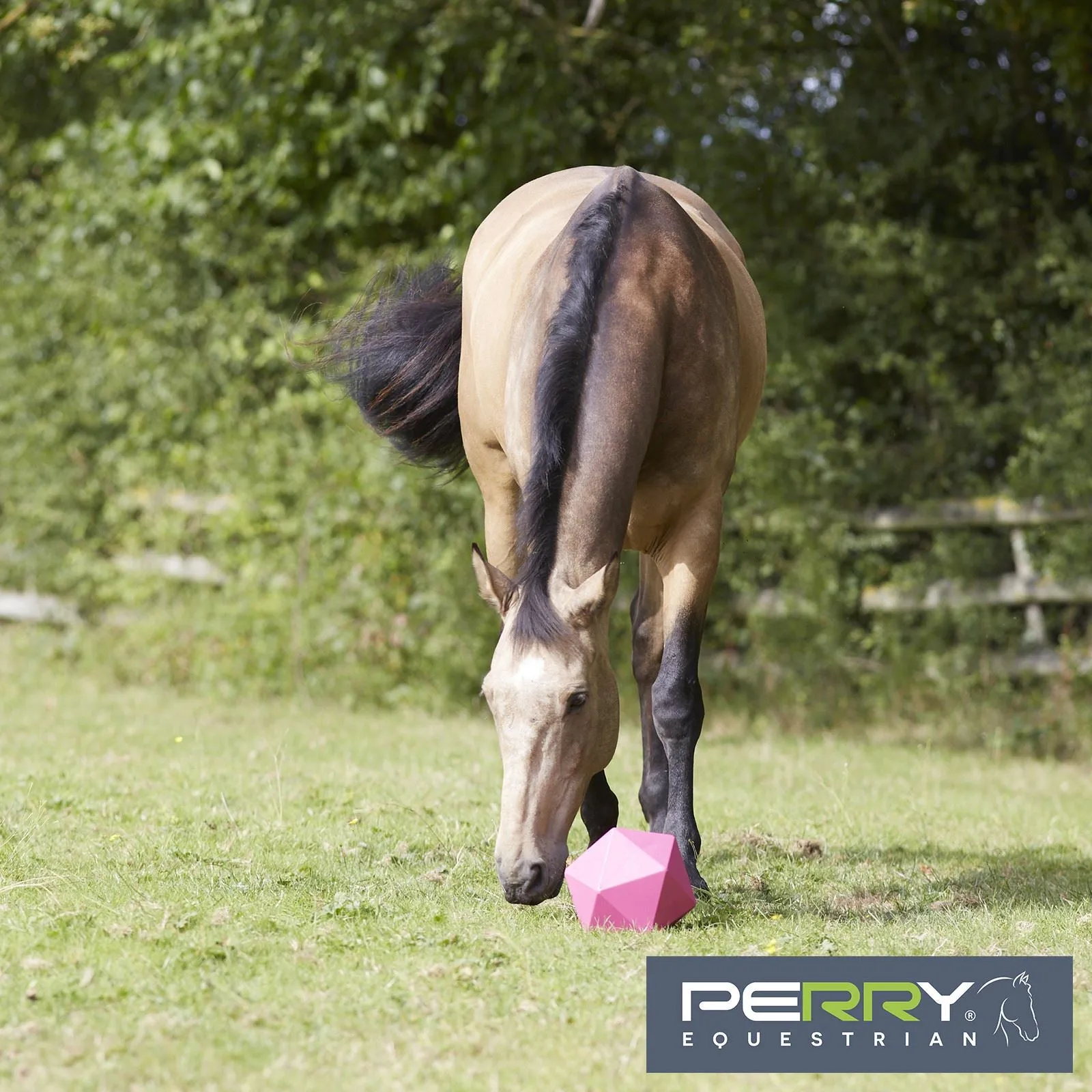 Perry Equestrian 230mm (9) One Piece Moulded Feed Ball / Boredom Breaker"