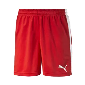 Puma Pitch Short