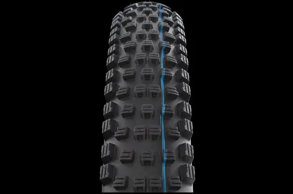 Schwalbe Tyre Wicked Will