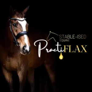 Stable-Ised Equine PractiFLAX