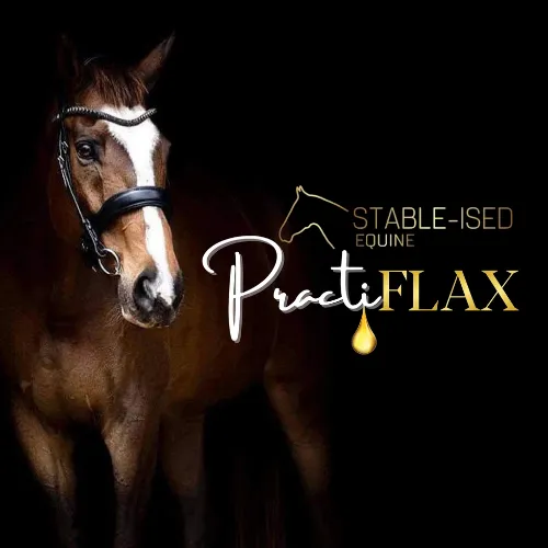 Stable-Ised Equine PractiFLAX