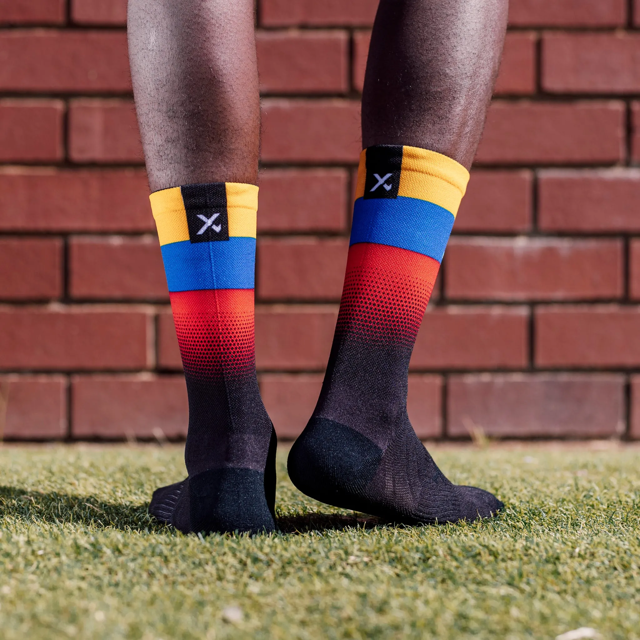 Venezuela Flag Socks