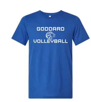 Volleyball 2024