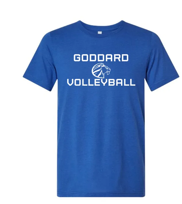 Volleyball 2024