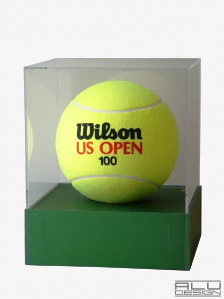 Volleyball Display Case