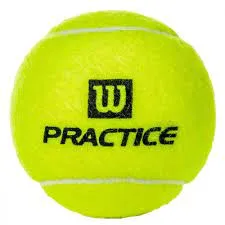 Wilson Practice Tennis Ball - Case