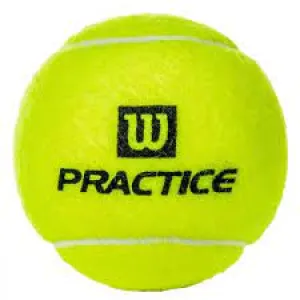 Wilson Practice Tennis Ball - Case